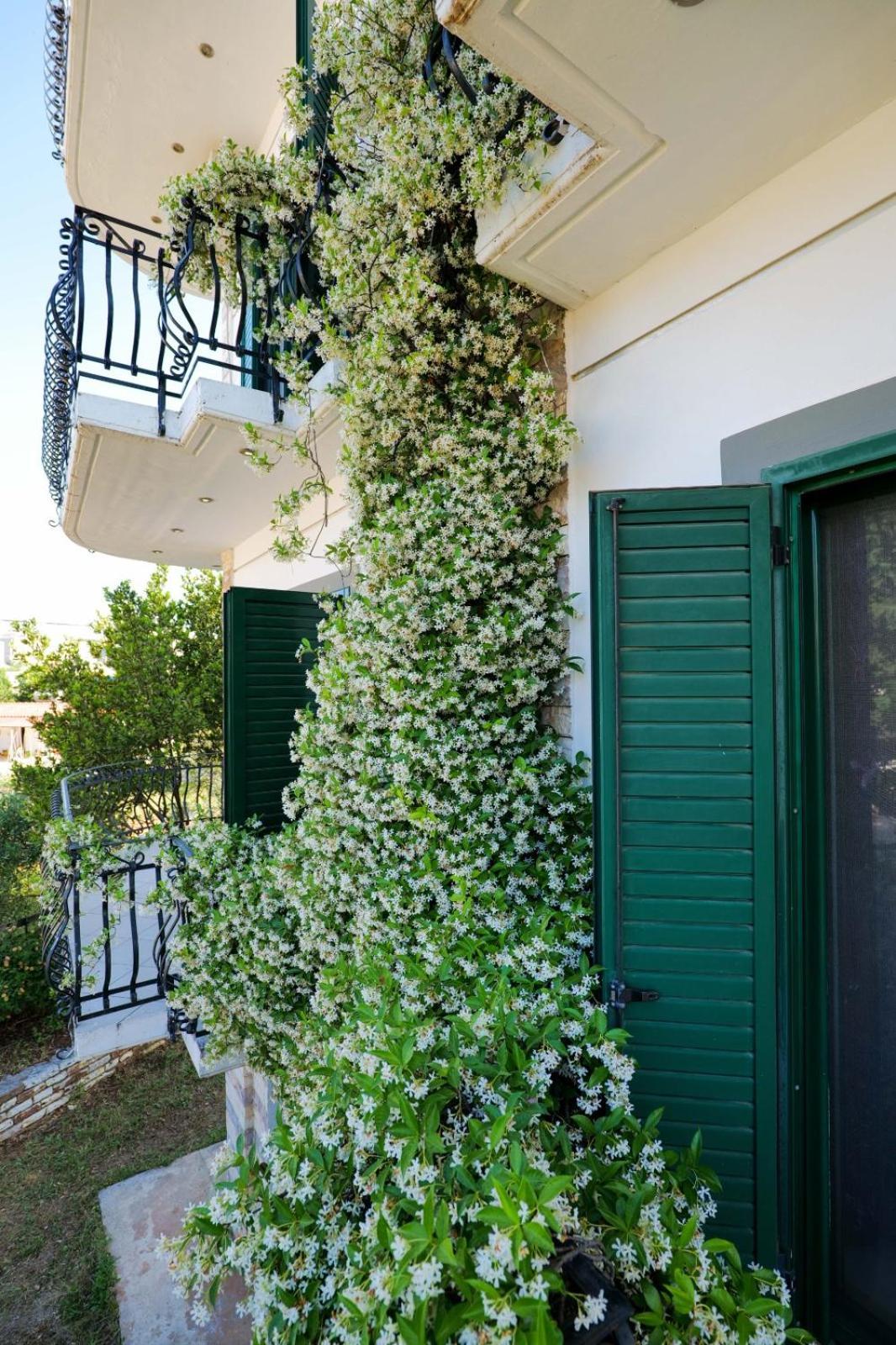 Sea La Vie Apartments كساميل المظهر الخارجي الصورة